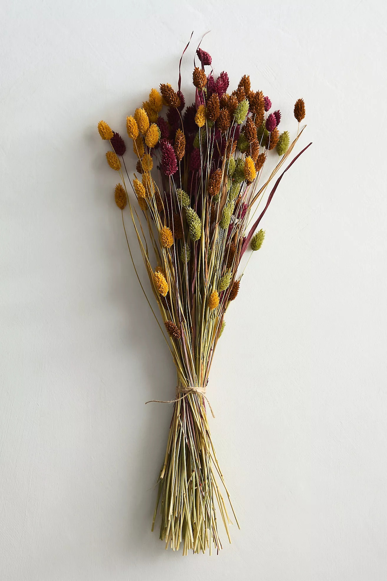 Dried Phalaris Mix Bunch | Terrain