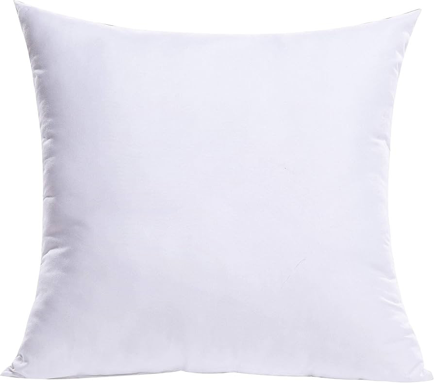 MIULEE Throw Pillow Insert Premium Pillow Stuffer Sham Square Form for Decorative Cushion Bed Cou... | Amazon (US)