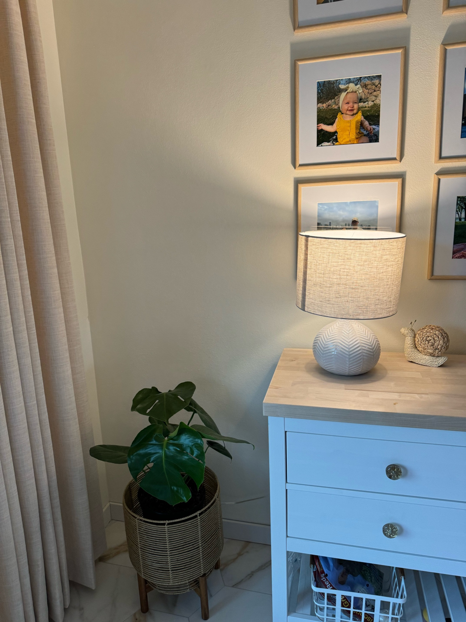 My newest plant! I love adding different plants to my home decor 🪴

#LTKhome #LTKstyletip #LTKfindsunder50