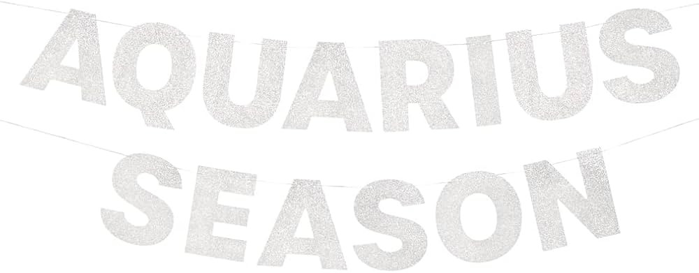 xo, Fetti Aquarius Season Birthday Party Silver Glitter Banner - 5 Ft. | Zodiac Aquarius, Horosco... | Amazon (US)