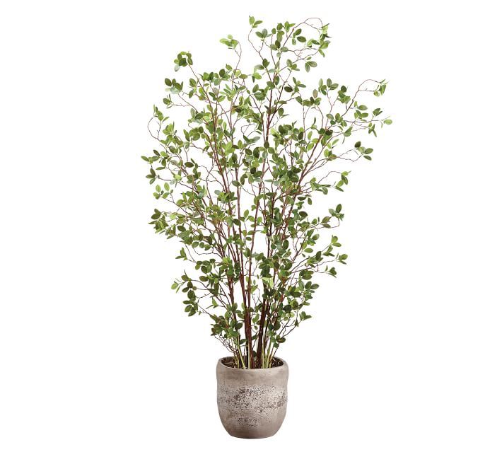 Faux Potted Mini Leaf Tree | Pottery Barn (US)