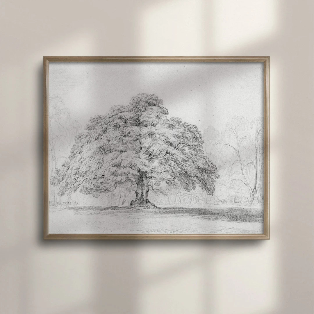 Vintage Forest Drawing Oak Tree Sketch Fine Art Prints Mid - Etsy | Etsy (US)