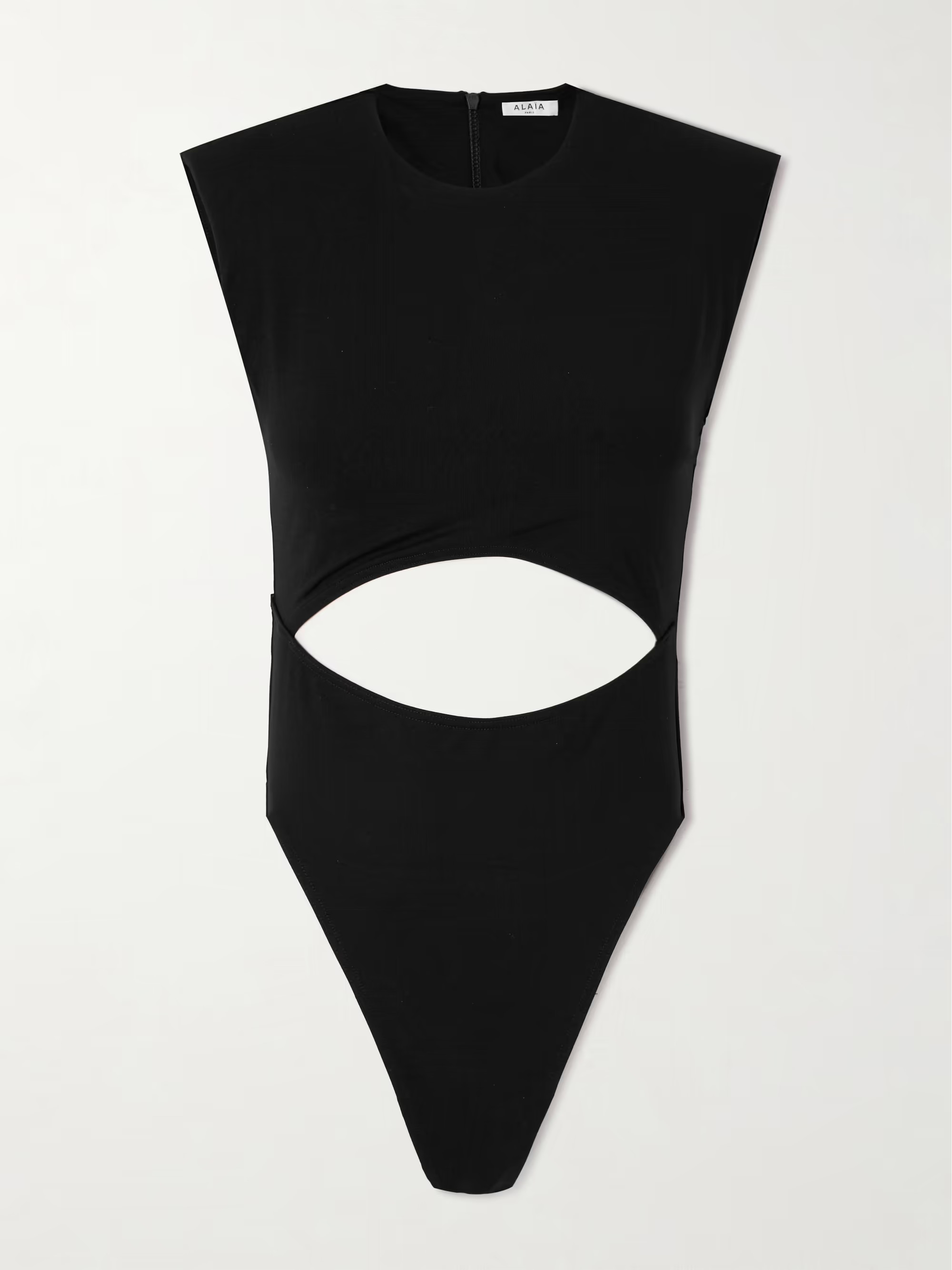 Cutout swimsuit | NET-A-PORTER (US)