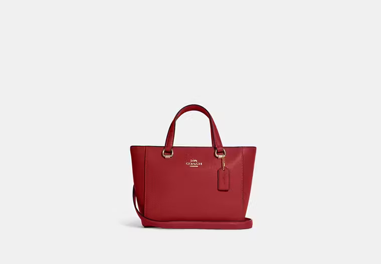 Alice Satchel | Coach Outlet US