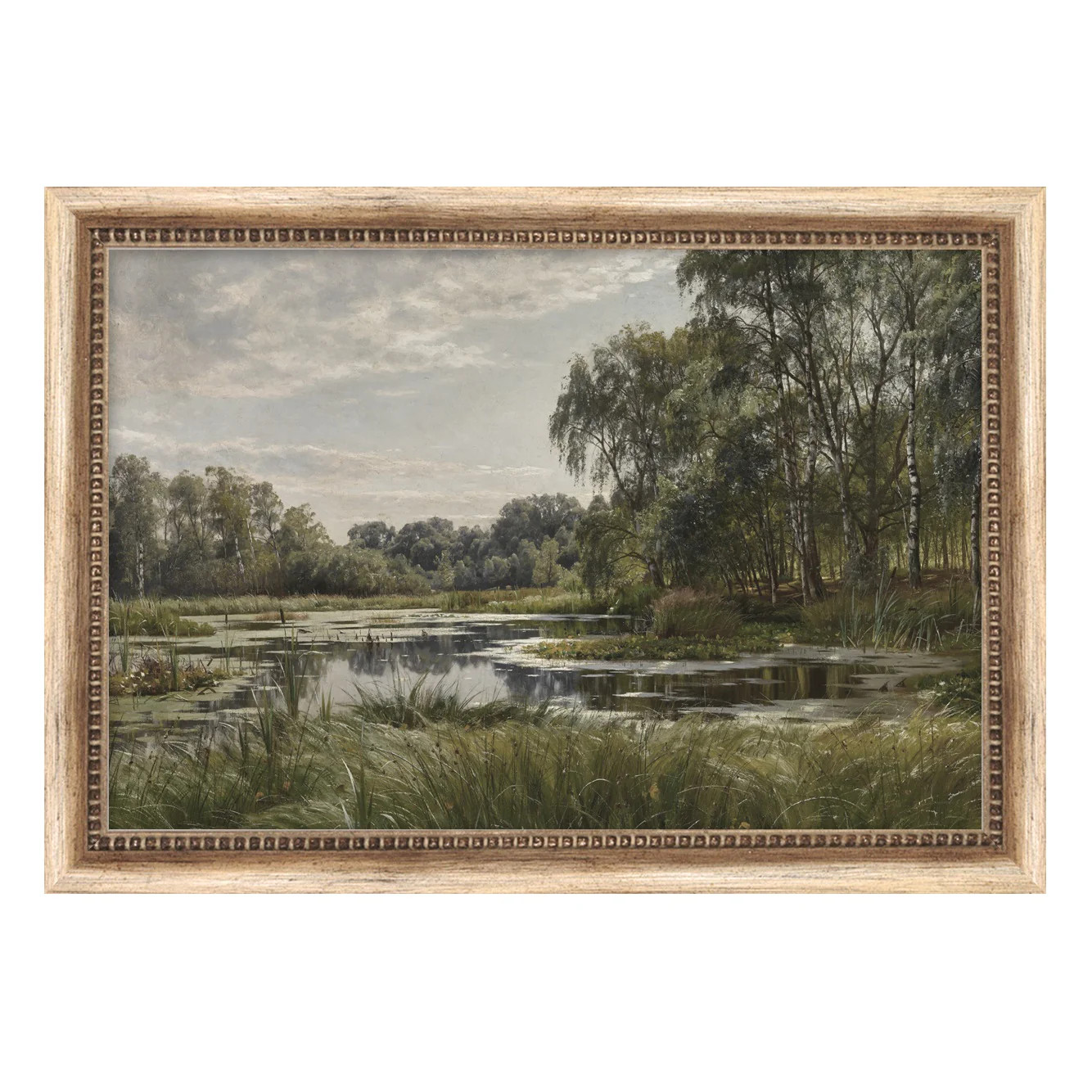 Pond Study | Magnolia