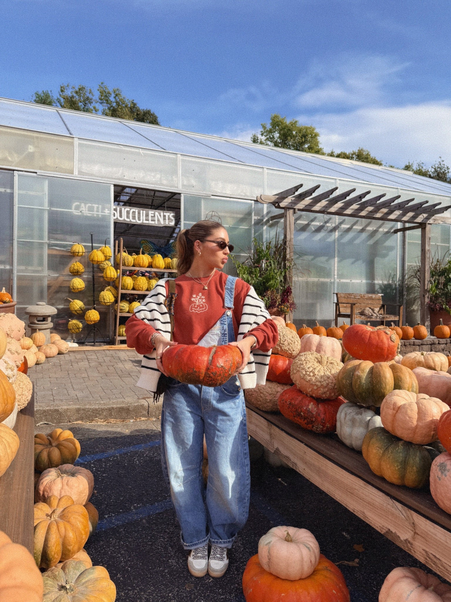 cutest lil fall fit!!!!
overalls- xs 
swearshirt- L
sweater- M 

#LTKPetite #LTKSeasonal #LTKFallSale