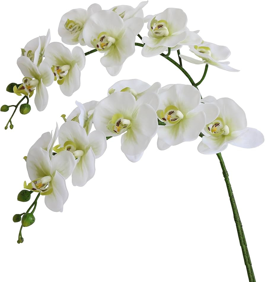Htmeing 38 Inch Artificial Phalaenopsis Flowers Branches Real Touch (Not Silk) Orchids Flowers fo... | Amazon (US)