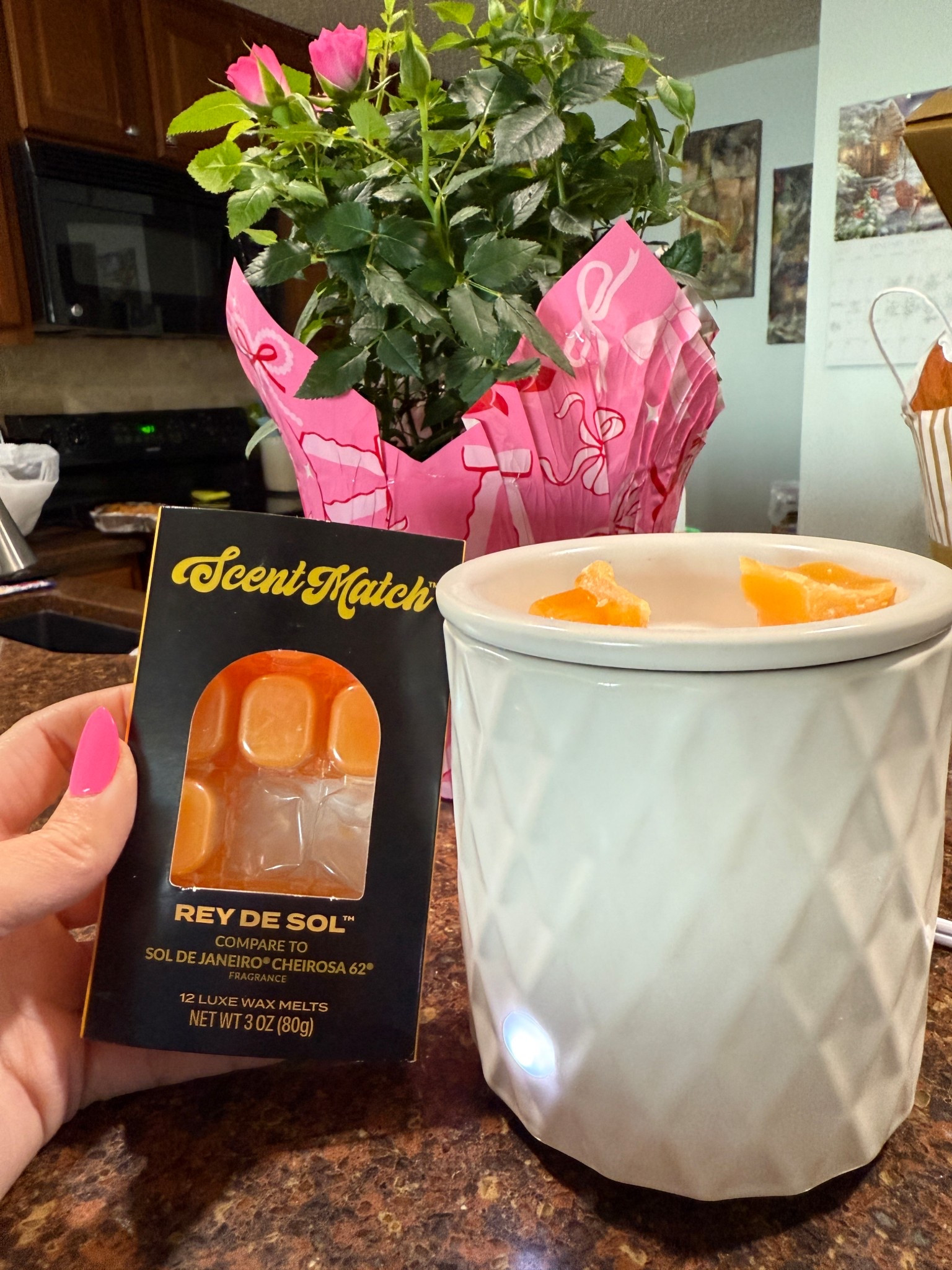 Grabbed these viral wax melts and wax warmer today. They smell AMAZING and truly do smell VERY close to Sol de Janiero and have made my place smell like a bougie resort spa! 

#LTKHome