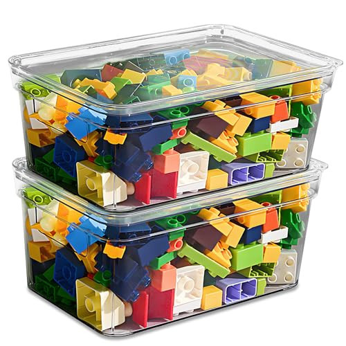 NDETN Clear Toy Storage Bins, Small Storage Containers with Lids, Small Plastic Storage Bins, Toy Organizers and Storage Bin, Clear Containers for Organizing (2 Pack) | Amazon (US)