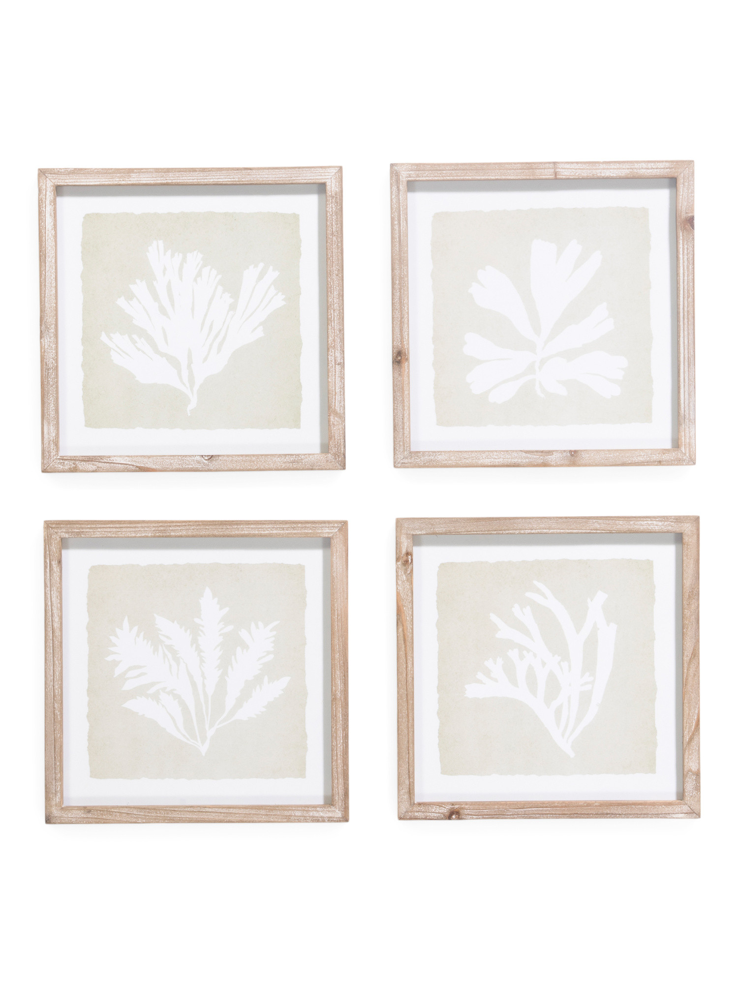 Set Of 4 12x12 Seaweed Petite Prints Wall Art | TJ Maxx