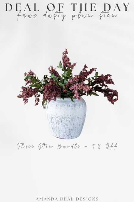Deal of the Day - Faux Dusty Plum Stem! Three Stem Bundle - 5% off! 

Find more content on Instagram @amandadealdesigns for more sources and daily finds from crate & barrel, CB2, Amber Lewis, Loloi, west elm, pottery barn, rejuvenation, William & Sonoma, amazon, shady lady tree, interior design, home decor, studio mcgee x target, bedroom furniture, living room, bedroom, bedroom styling, restoration hardware, end table, side table, framed art, vintage art, wall decor, area rugs, runners, vintage rug, target finds, sale alert, tj maxx, Marshall’s, home goods, table lamps, threshold, target, wayfair finds, Turkish pillow, Turkish rug, sofa, couch, dining room, high end look for less, kirkland’s, Ballard designs, wayfair, high end look for less, studio mcgee, mcgee and co, target, world market, sofas, loveseat, bench, magnolia, joanna gaines, pillows, pb, pottery barn, nightstand, throw blanket, target, joanna gaines, hearth & hand, floor lamp, world market, faux olive tree, throw pillow, lumbar pillows, arch mirror, brass mirror, floor mirror, designer dupe, counter stools, barstools, coffee table, nightstands, console table, sofa table, dining table, dining chairs, arm chairs, dresser, chest of drawers, Kathy kuo, LuLu and Georgia, Christmas decor, Xmas decorations, holiday, Christmas Eve, NYE, organic, modern, earthy, moody

#LTKfindsunder100 #LTKsalealert #LTKhome
