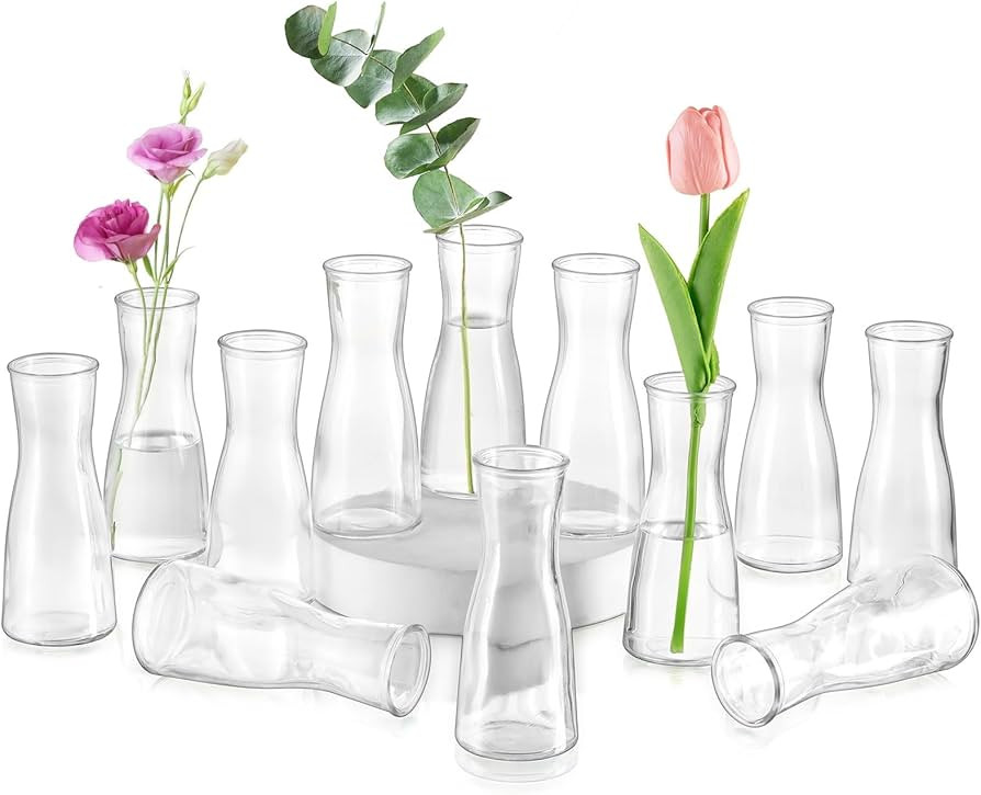 Glasseam Glass Bud Vases for Centerpieces: Clear Flower Vase Set of 12 Modern Small Vases for Flo... | Amazon (US)