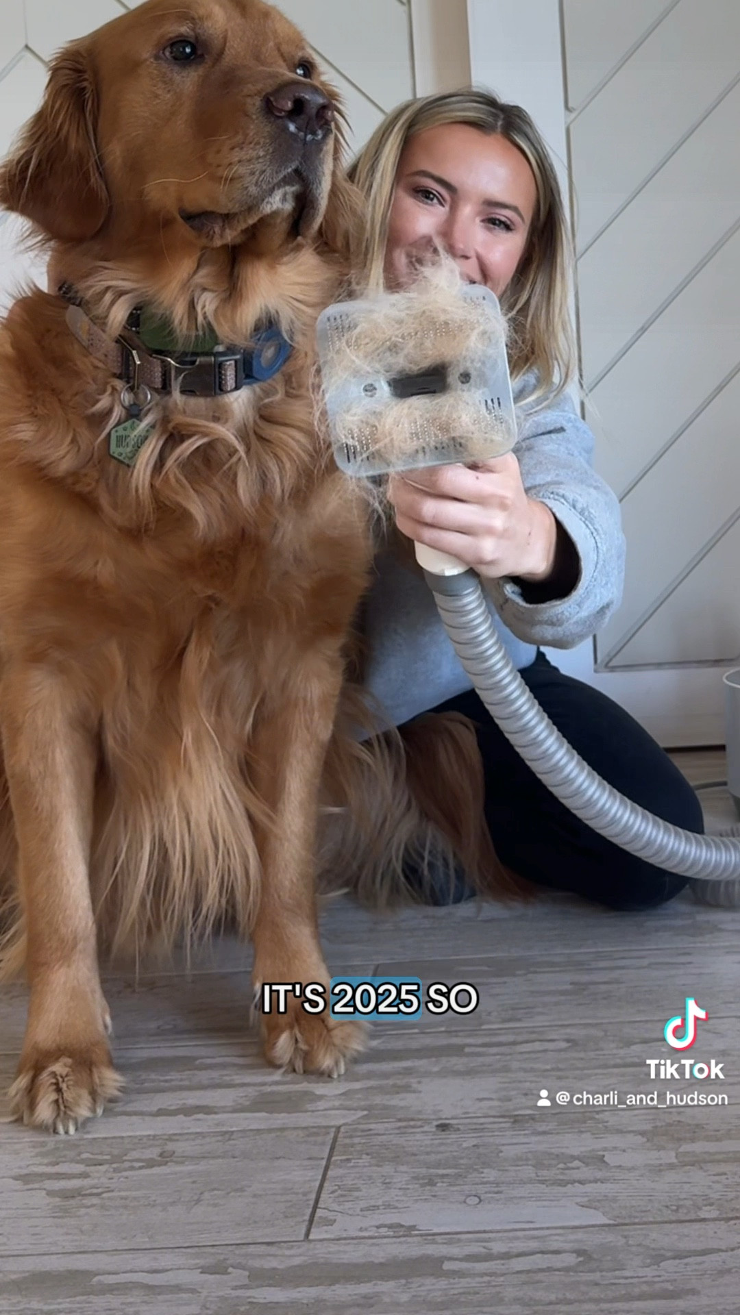 Amazon Pet grooming vacuum on sale ! 

#LTKPets #LTKSaleAlert #LTKWatchNow