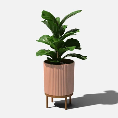Demi Series Planter with Stand | Wayfair North America