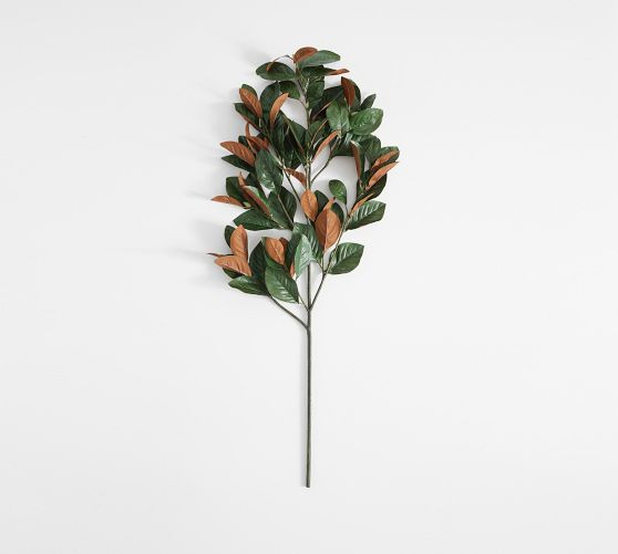 Faux Oversized Magnolia Branch | Pottery Barn (US)