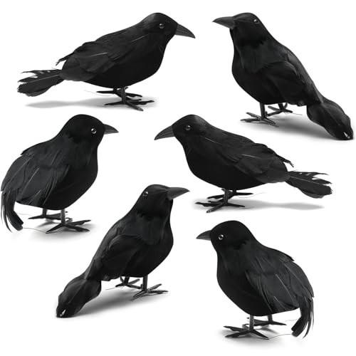 Lomrsiul Halloween Crows Black Birds Decorations Halloween Realistic Black Feathered Crows Handmade Halloween Crows and Ravens Decor Fall Decorations for Outdoor Indoor Party Home 6 Pack | Amazon (US)