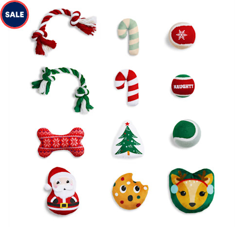 Merry Makings Dog Toy Advent Calendar, Medium | Petco