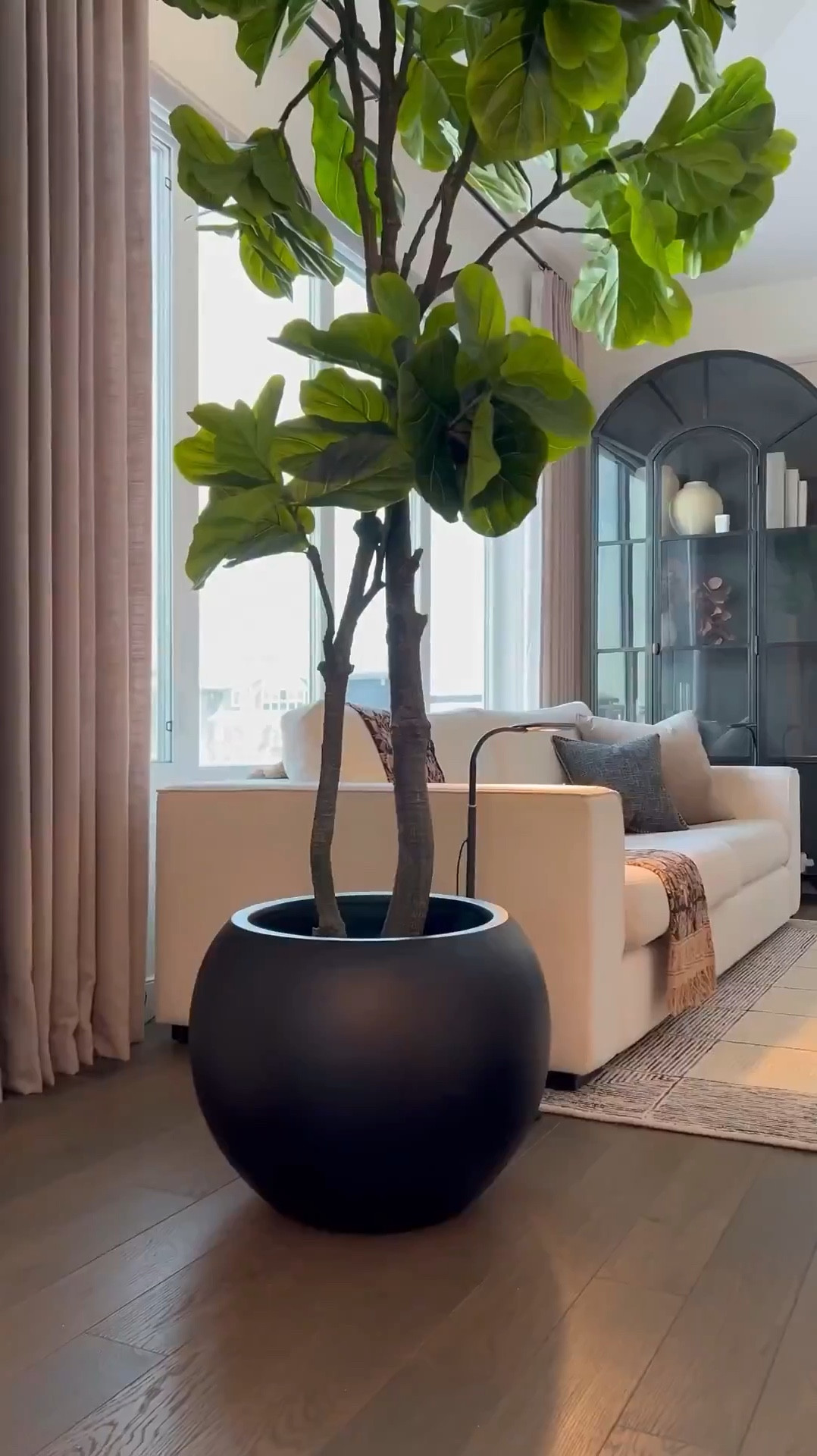 Sharing all my favorite home decor finds in one place 🤍 Tap to shop the pieces I’ve styled throughout my home—neutral tones, cozy textures, and timeless details you’ll love.

Planter sizes: 

Olive tree has the medium planter. Fiddle tree has the large size ☺️

#LTKStyleTip #LTKHome #LTKSaleAlert