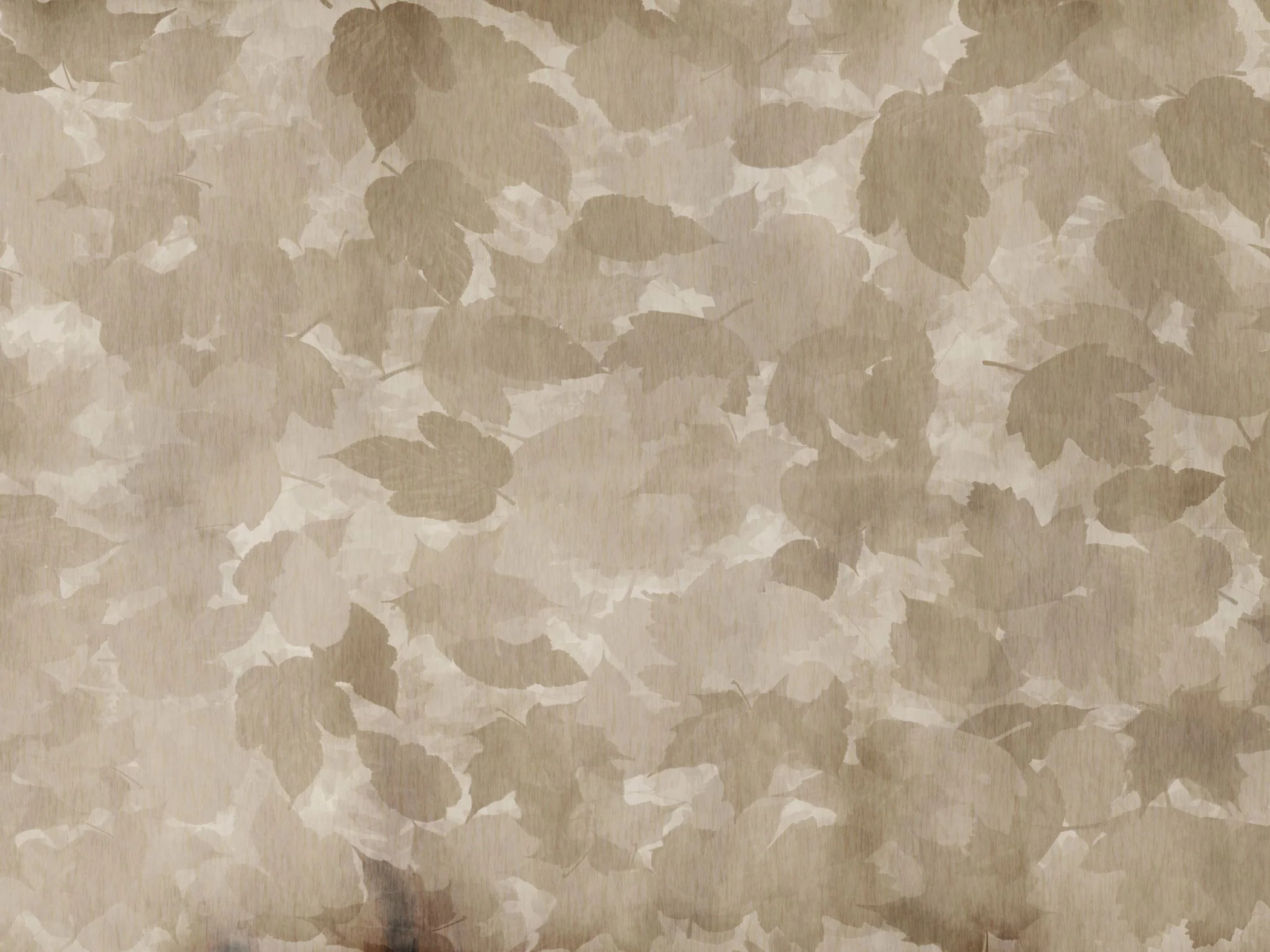 Leaf Serenade | Collection Prints