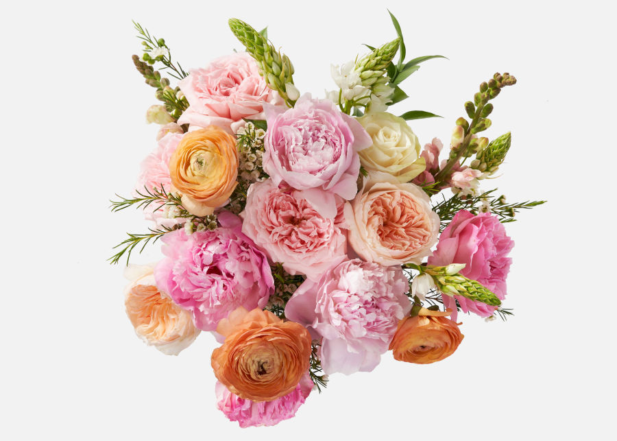 The Maia | UrbanStems