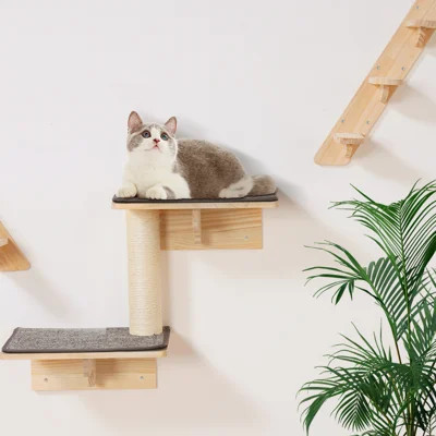 Wall Mounted Cat Shelves Tree with Jumping Boards Nests Hammock Set of 7 | Wayfair North America