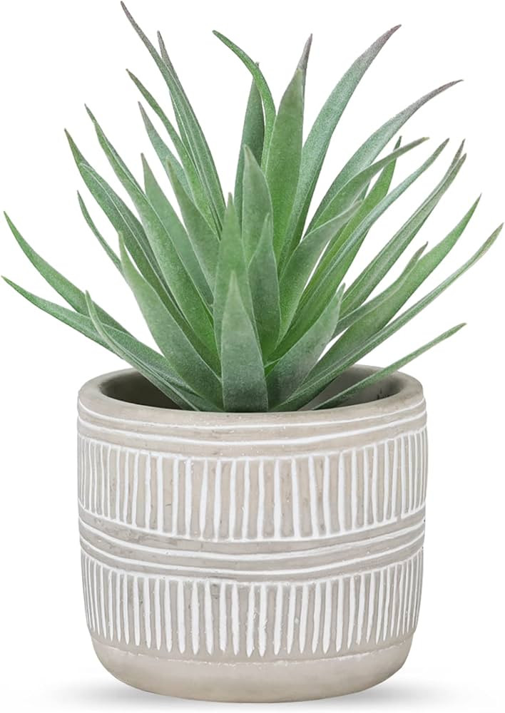 Der Rose Fake Succulents Plants Artificial Succulents in Pots for Room Home Bathroom Bedroom Offi... | Amazon (US)