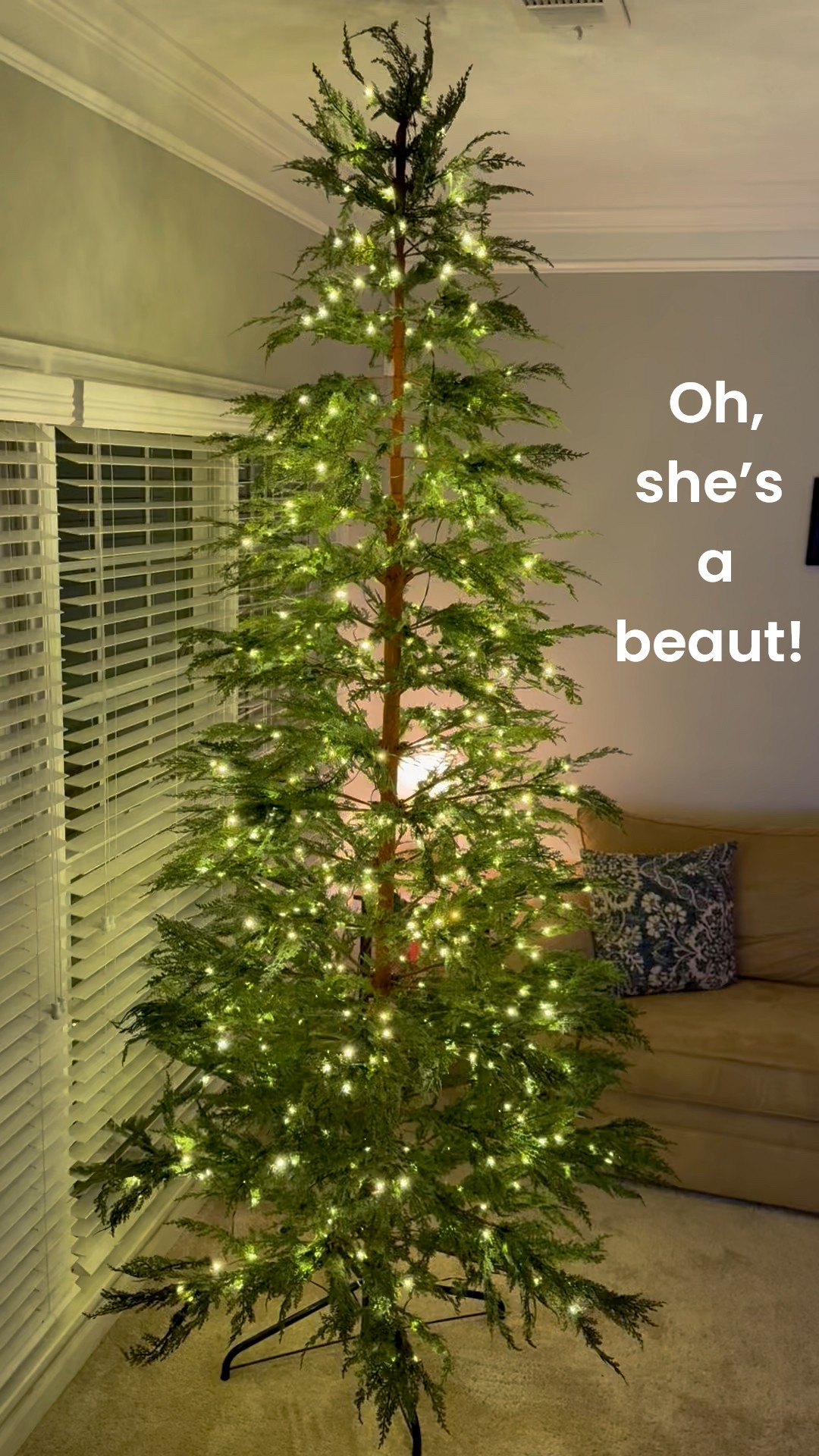 Finally got my 9-foot twinkle tree and I LOVE her! 🤩✨ She’s so elegant and magical in person + the quality is amazing for the price! I’ll be wrapping Halloween lights around her tomorrow but for tonight we’ll just pretend it’s already Christmastime 🫶🏻🎄

This is the 9’ cypress version but there are all sizes available!

L l N K E D in my LTK shop 🔗⬇️


#LTKSeasonal #LTKHome