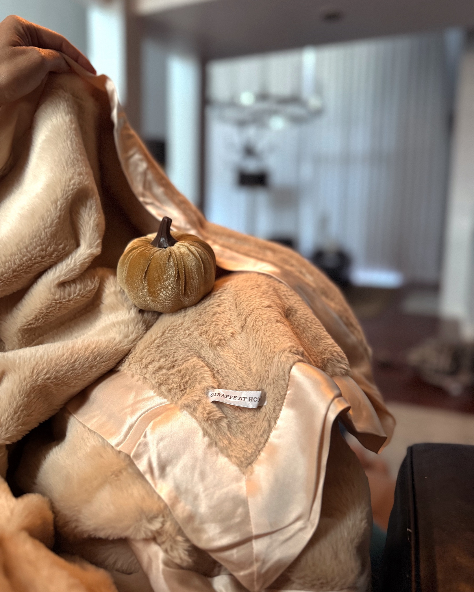 #LTKHome #LTKSeasonal