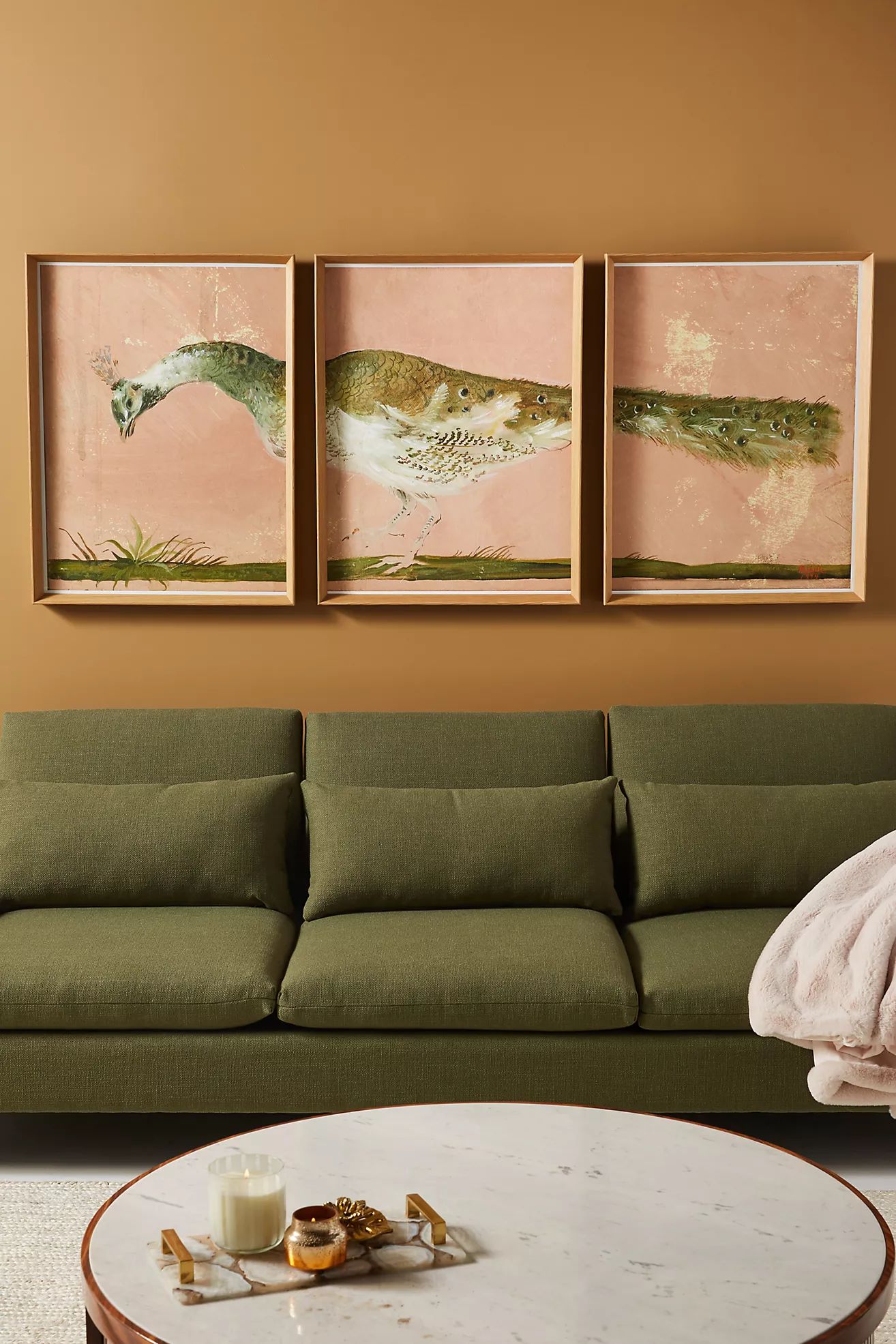 Peacock Triptych Wall Art | Anthropologie (US)