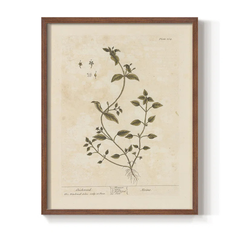 " Vintage Floral Print CLXXV " | Wayfair North America