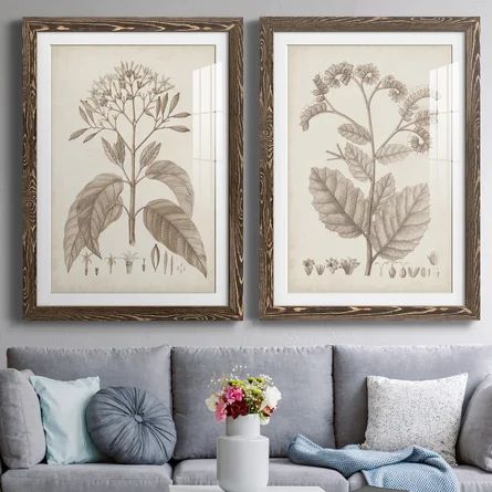 Antique Sepia Botanicals III Framed On Paper 2 Pieces Painting | Wayfair North America