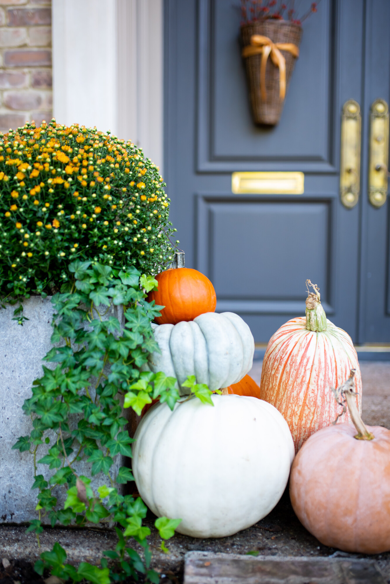 Our favorite things that will make your home cozy for Fall! More on DoSayGive.com!  

 #LTKHome #LTKFindsUnder50 #LTKFindsUnder100