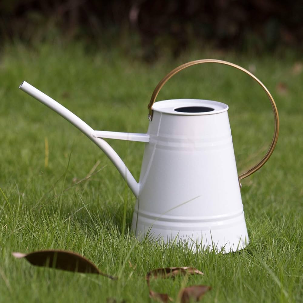 HORTICAN 0.6 Gal./78 oz. Metal Watering Can, Watering Can Indoor Plants, Decorative Farmhouse Sty... | Amazon (US)