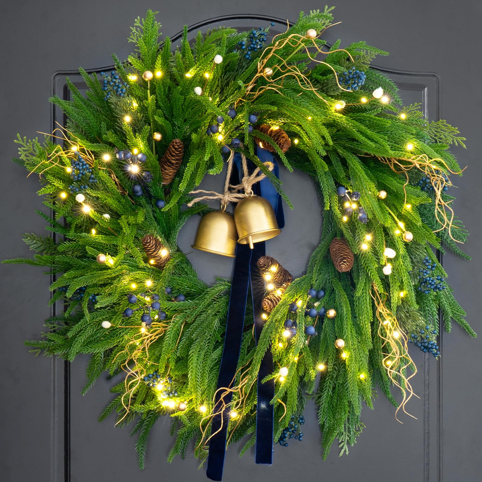 24 Inch Pre-Lit Norfolk Pine Christmas Wreath for Front Door, Artificial Plants Green Christmas W... | Amazon (US)