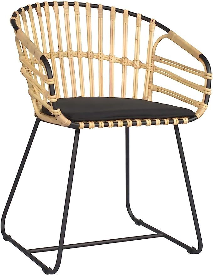 East at Main Oriana Arm Chair, Black | Amazon (US)
