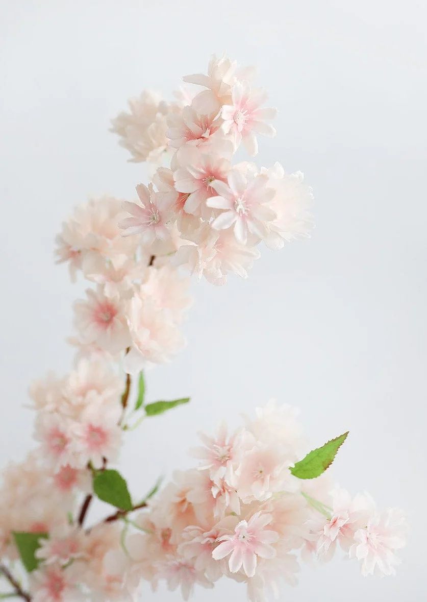 Soft Pink Faux Cherry Blossom Branch - 40" | Afloral