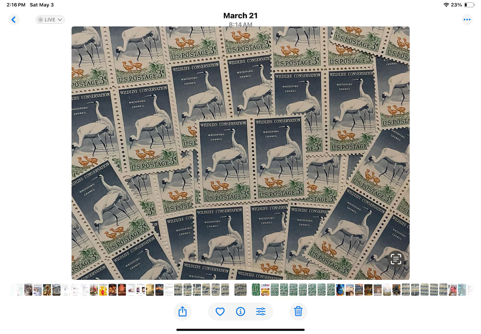 50 Vintage Unused Blue Wildlife Cranes # 1098 Unused Old Stamps Birds on Stamps Unused Vintage Bl... | Etsy (US)