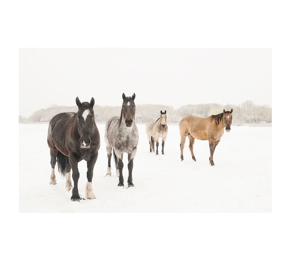 Waiting for Spring Framed Print by Jennifer Meyers | Pottery Barn (US)