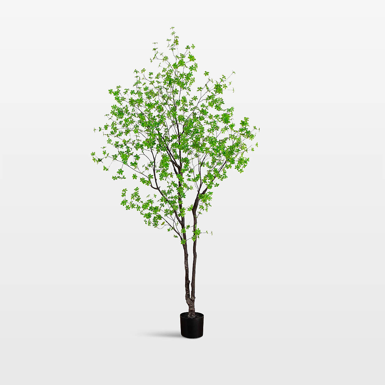 Faux Enkianthus Tree 10' | Crate & Barrel | Crate & Barrel