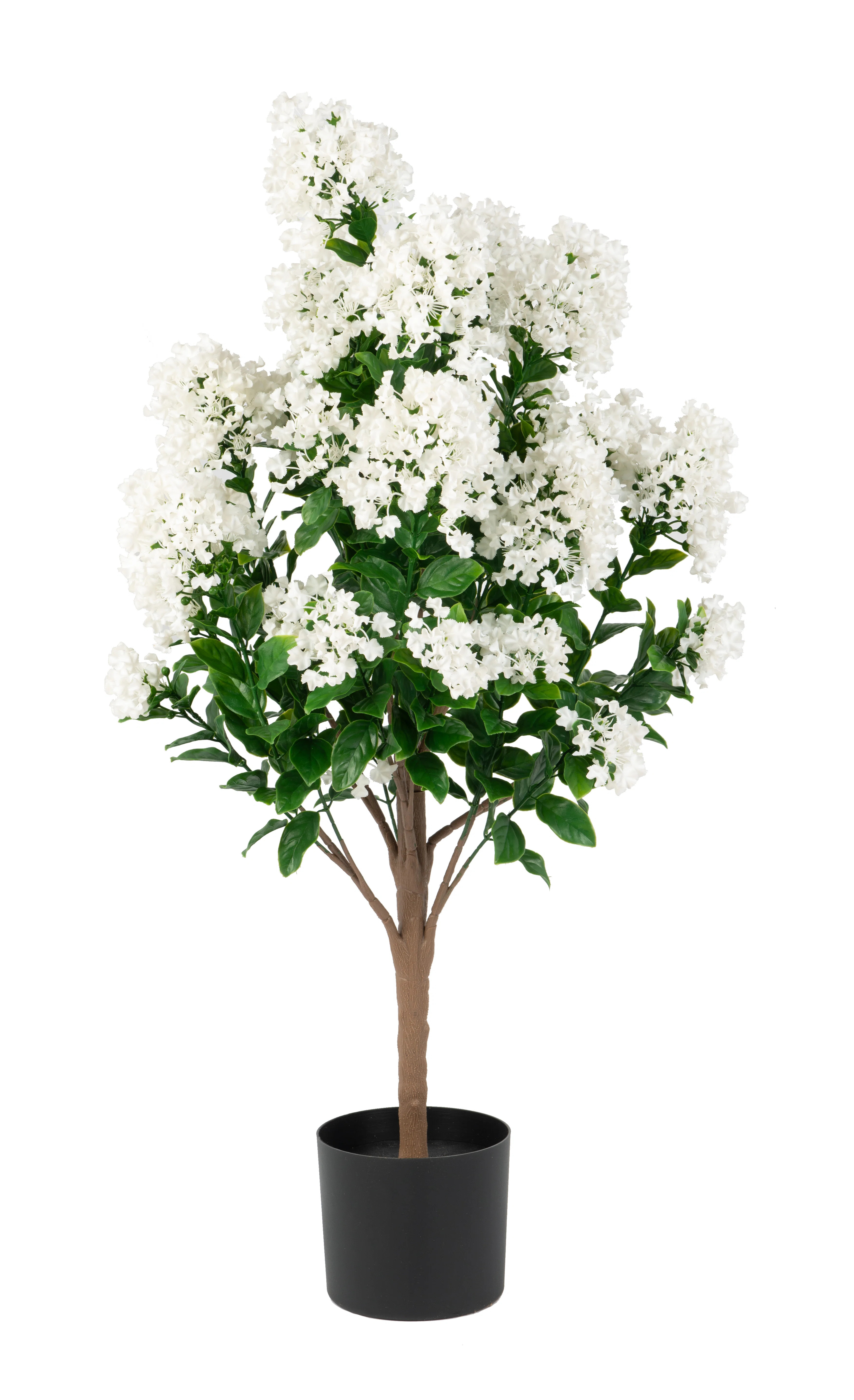 Naturae Decor Out-Myrpl-36-1Pk & Reviews - Wayfair Canada | Wayfair North America