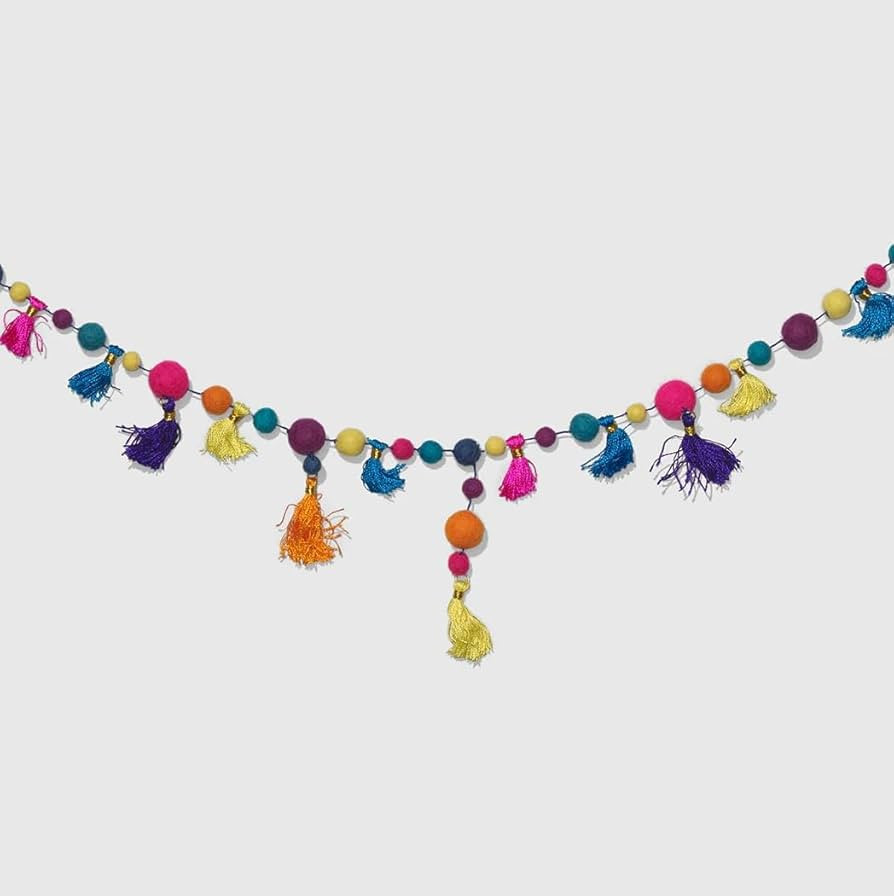 Coterie Pom Pom Banner – Colorful Hanging Garland with Yarn Pom Poms for Birthdays, Showers, Ki... | Amazon (US)