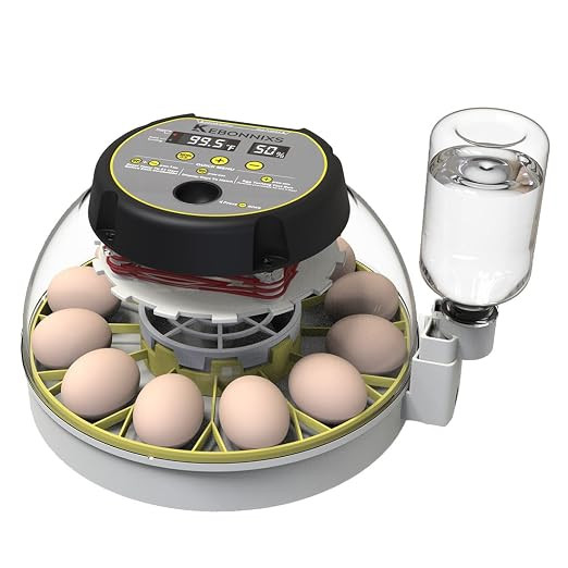 KEBONNIXS 12 Egg Incubator with Humidity Display, Egg Candler, Automatic Egg Turner, for Hatching... | Amazon (US)