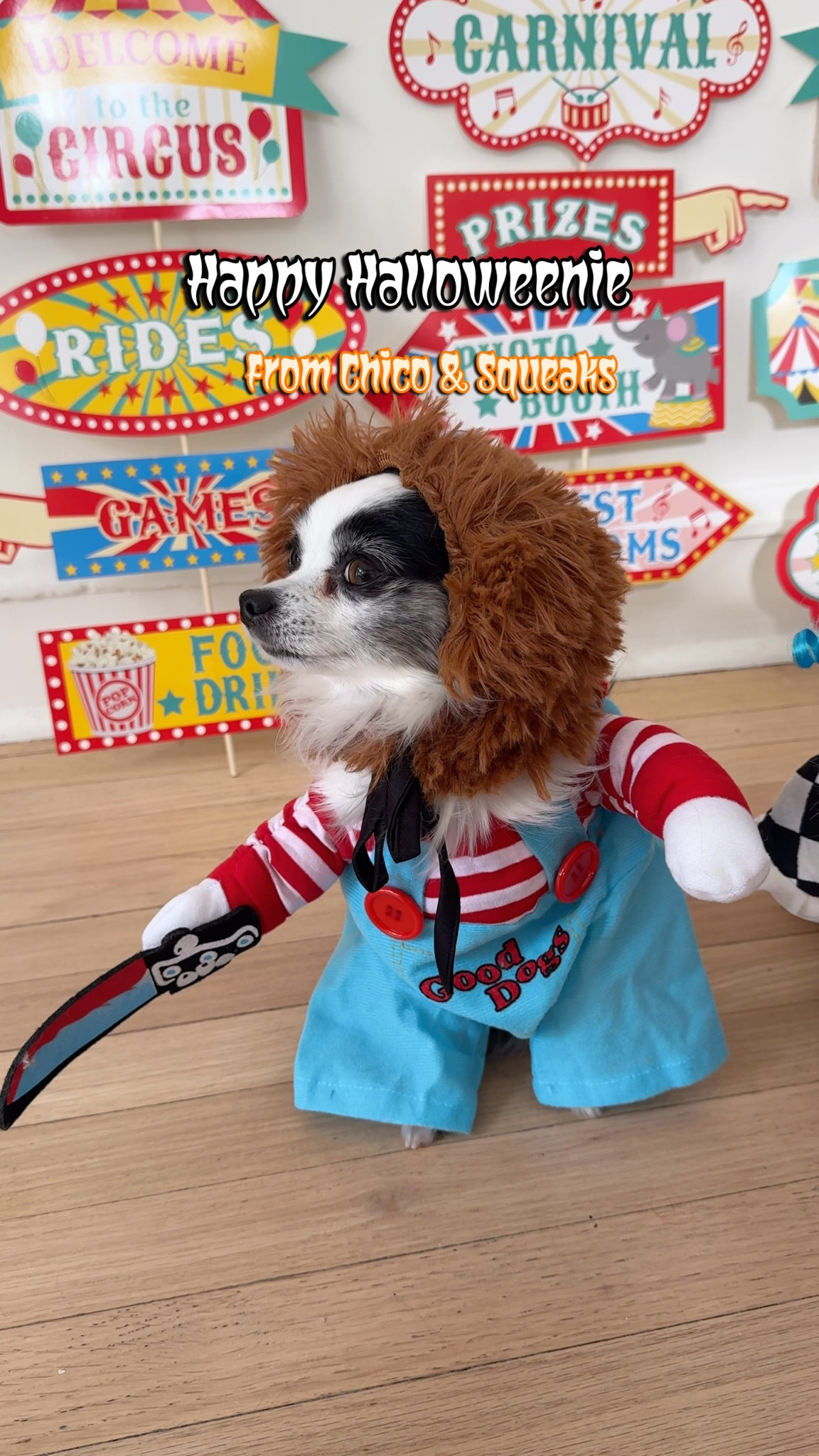 🎪 Step right up for the cutest chaos at the carnival! 🎟️ I couldn’t have picked a scarier (or sillier) duo — Dog Chuckie 🔪 & my 3-legged clown posse 🤡 stealing the show one treat at a time! 💀💙

Would you dare enter their circus of tricks & treats? 👀🍬

#LTKPets #LTKFamily #LTKHalloween