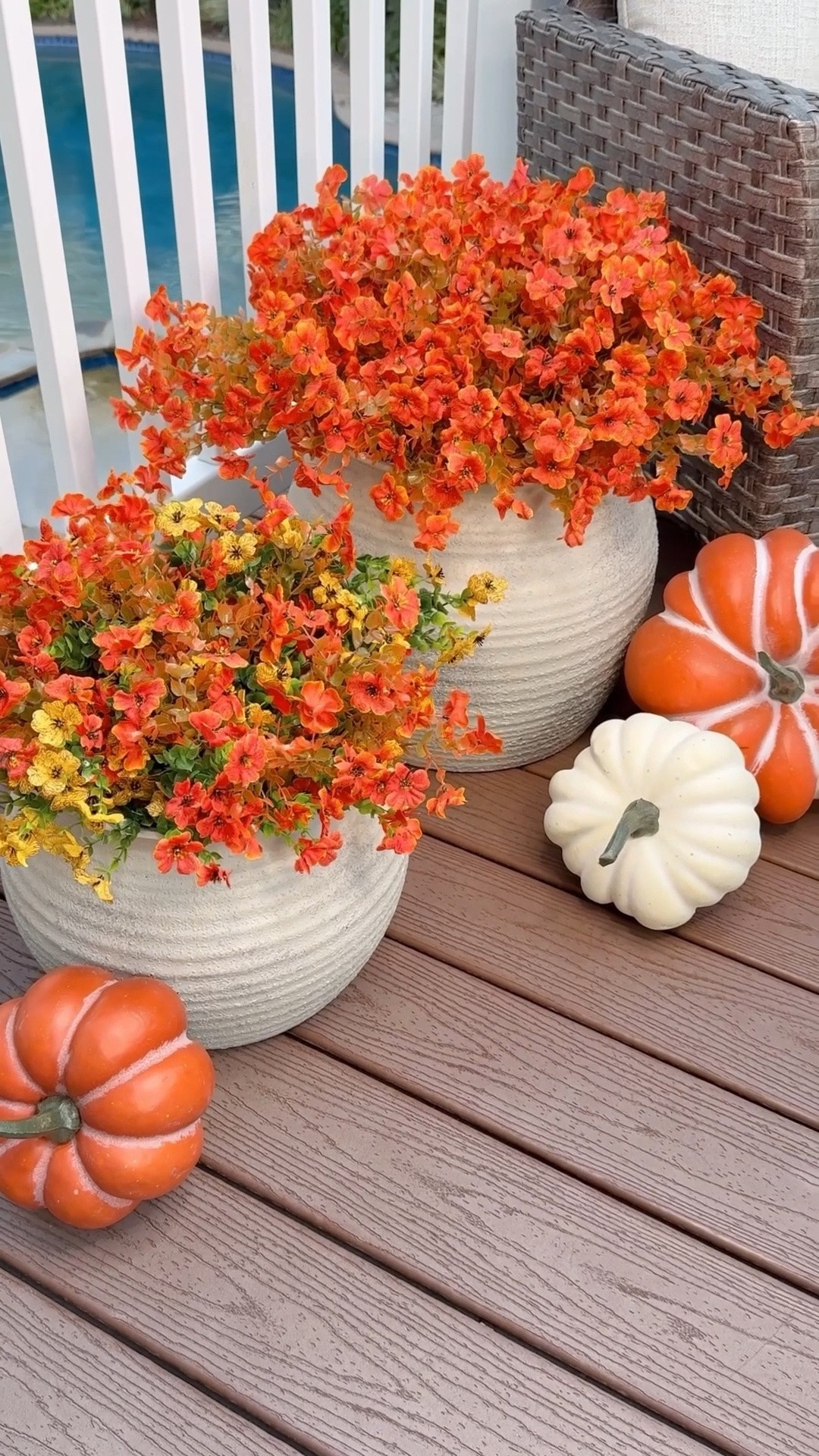 Fall planters without the watering! 🍂 These UV-resistant faux mums and boxwood bring rich autumn color to your porch without browning or fading.

My easy hack? Cut pool noodles to fit inside your planters, then tuck the stems into the openings to keep everything full and upright—no soil, no fuss! 🍁

#LTKSeasonal #LTKHome