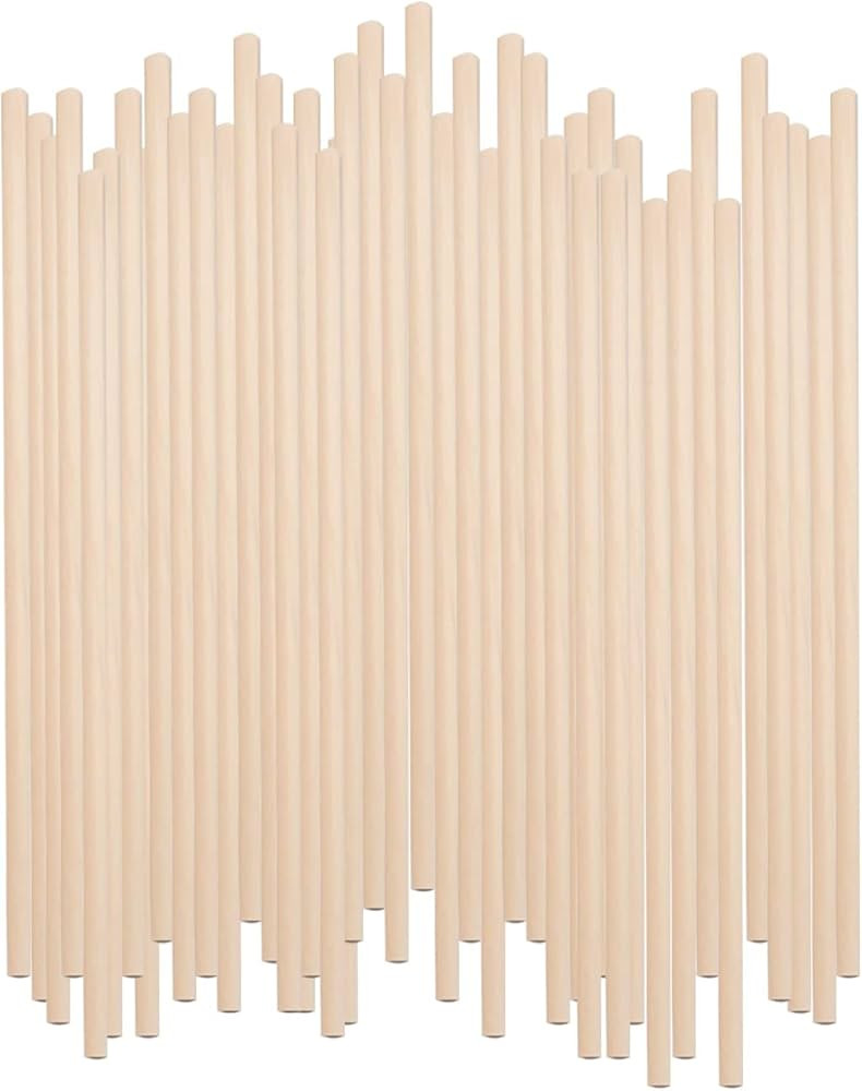 Dowel Rods Wood Sticks Wooden Dowel Rods - 30PCS 10 Inchx6mm- for Crafts and DIYers (Birch Wood1/... | Amazon (US)
