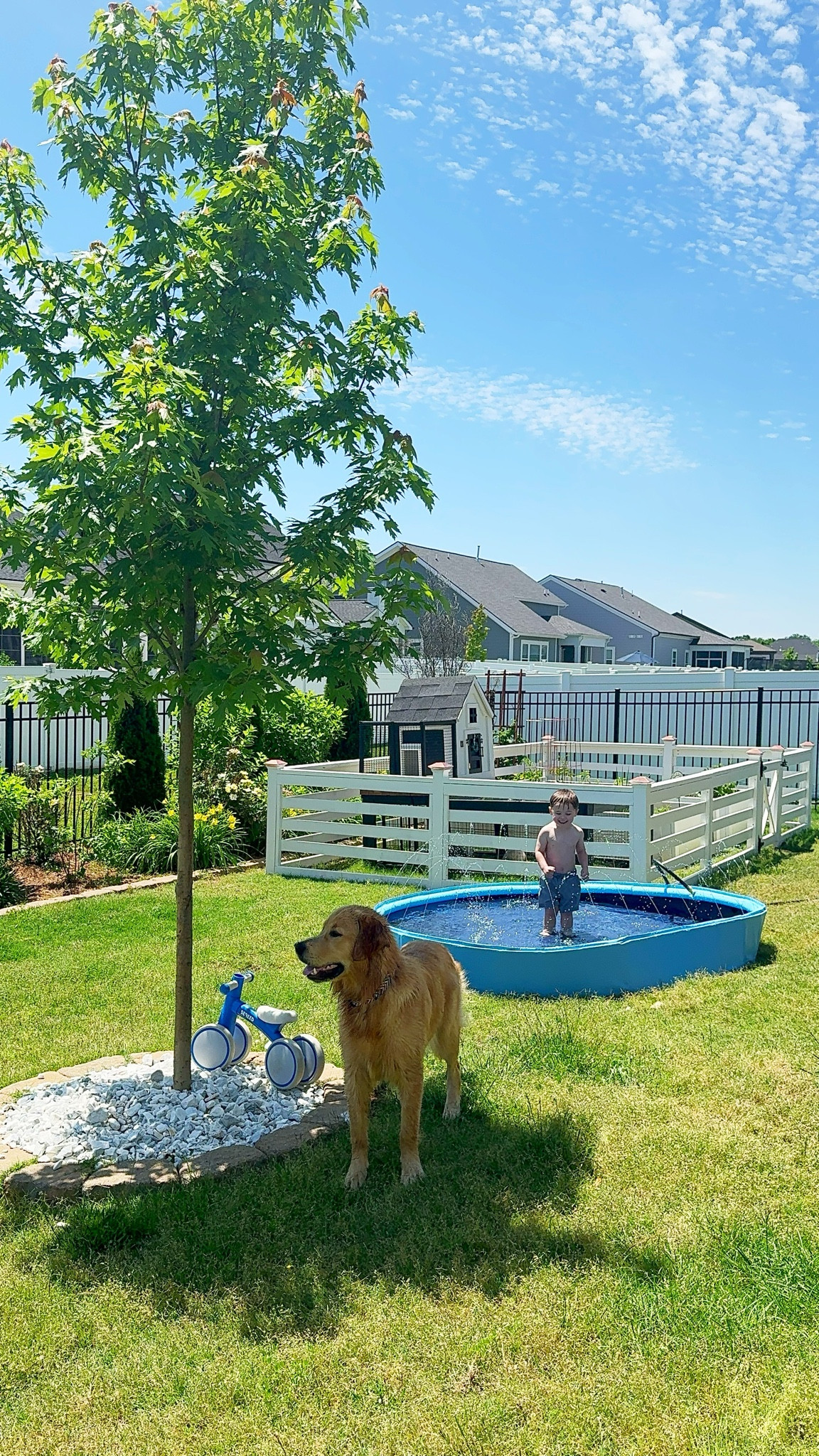 Toddler friendly, dog friendly kiddie pool with sprinklers!! 

#LTKFamily #LTKKids #LTKBaby