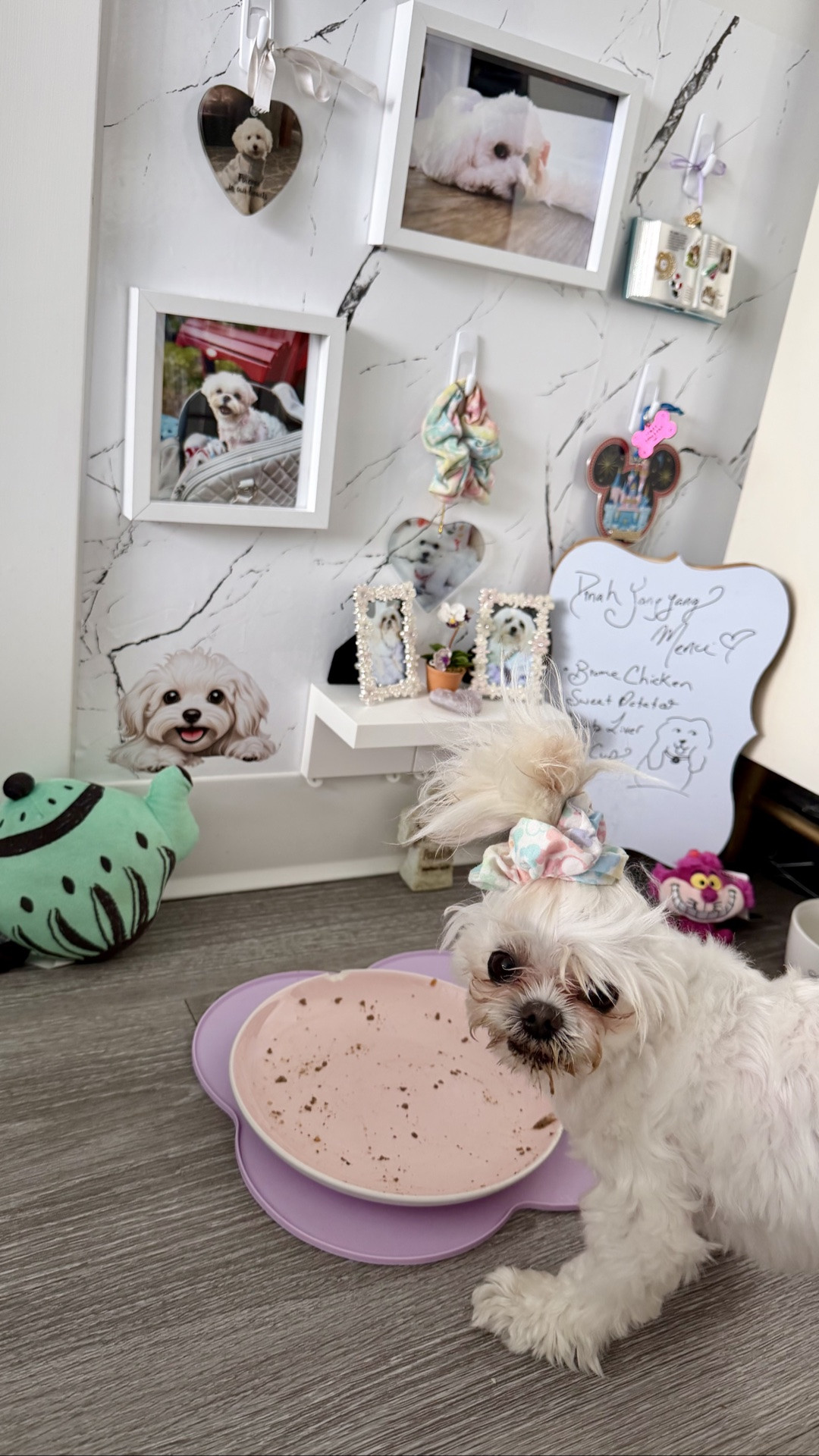 It was hard to look at the corner where my late rescue Maltese, Alice Haenim, and Dinah Yangyang used to eat together. Every morning, my eyes and heart instinctively searched for Alice enjoying her meal beside Dinah. 🐾

After seeing a few beautiful pet gallery walls on Instagram, I thought creating one of my own might help with my grief. Instead of looking at an empty corner and being reminded that Alice was missing at every meal, I wanted to create something that celebrated the love we shared. Now, I have something beautiful and meaningful to look at each morning... and so does Dinah. 🤍

I’ve included some special photos of my late miniature poodle, Ella, along with a few Alice Haenim-inspired touches (Disney Alice in Wonderland theme). I’m still hoping to find one more small frame to add another favourite photo of Alice. I also added a little spot to hang the scrunchies I use to keep Dinah’s (and Alice’s) long ears out of the way while they enjoy their meals.

Thank you to @tabicat_rae20 for the lovely idea of adding some seasonal flowers to the shelf…I’m still searching for the perfect ones, so this little flower pot I got from OHM Beads works for now!! I love the floral framed I found at @michaelsstores ✨🪽

I attached everything with @command strips 🐾✨

#petdecor #gallerywallinspo #petloss #petremembrance #dogdecor dog decor, pet decor, dog decorations, dog mom, gallery wall ideas, pet loss, pet remembrance

#LTKcanada #LTKfamily #LTKhome