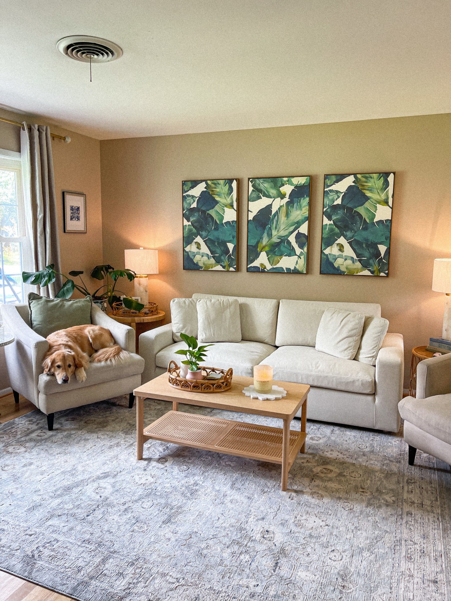 My living room in Charleston is finally complete with my Serenity Sofa from @Mahattan.home.design

#manhattanhomedesign #lauralilyhome #petproofhome 