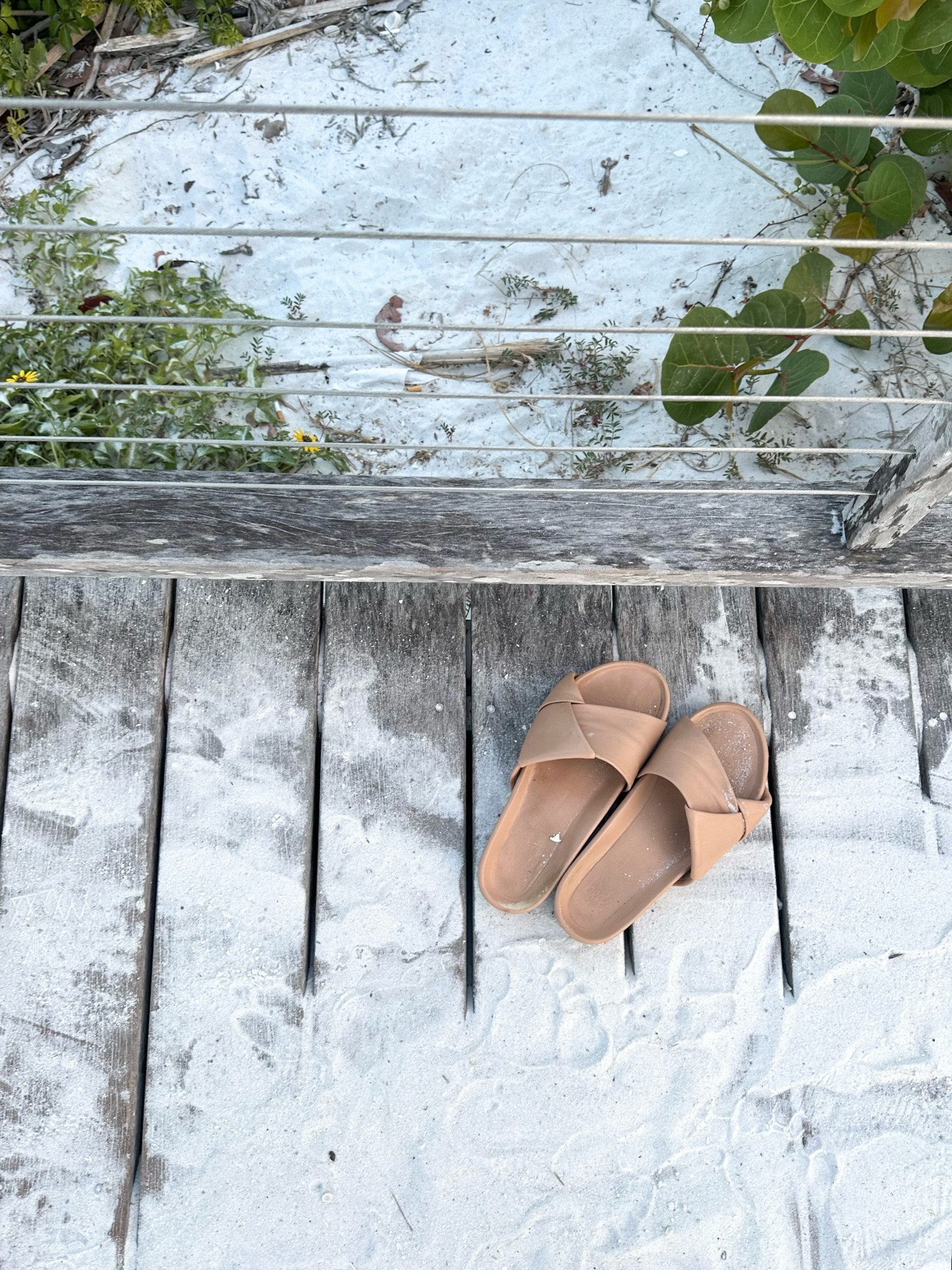 Best sandals EVERR

#LTKGiftGuide #LTKSeasonal #LTKShoeCrush