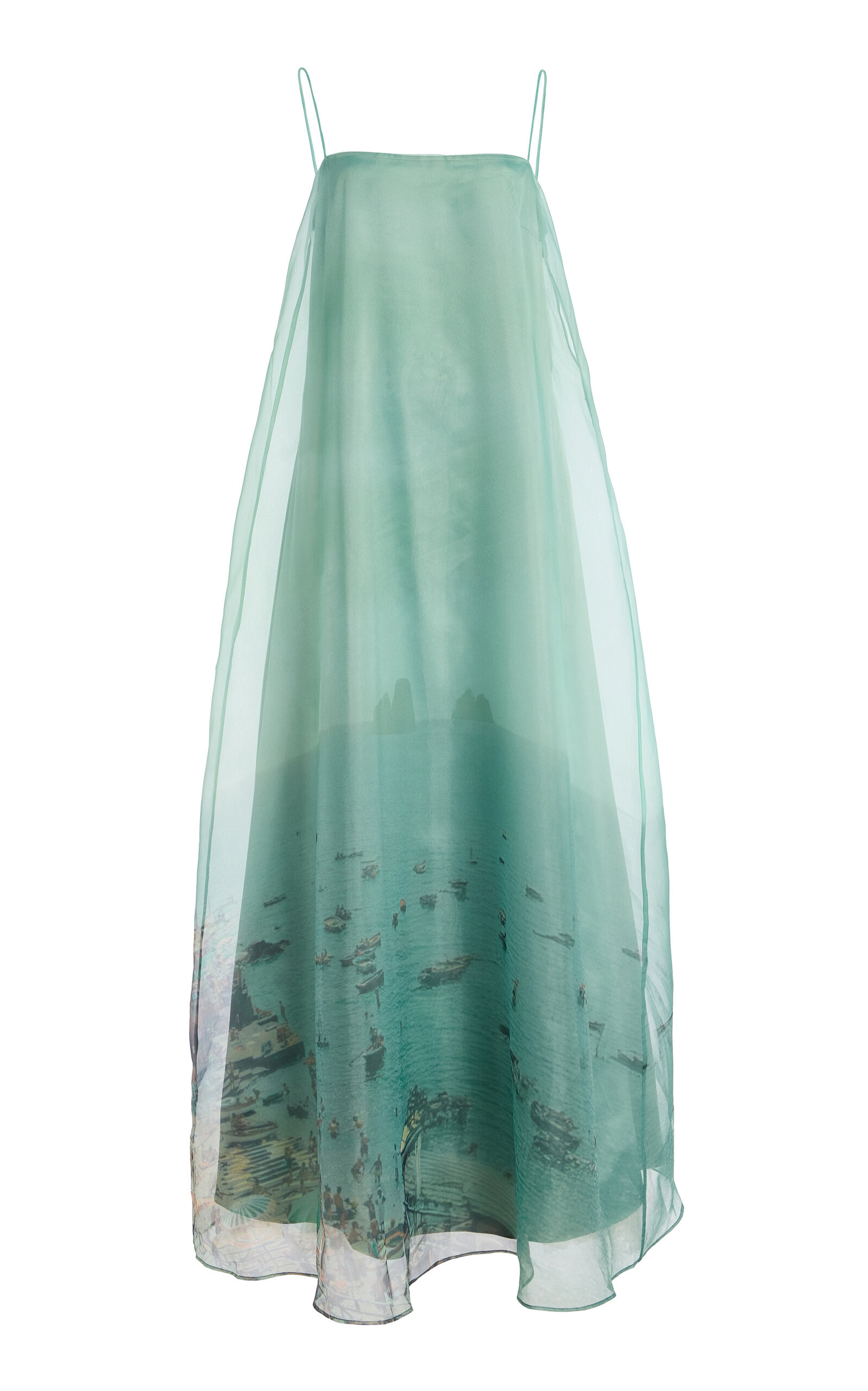 Delfina Printed Organza Maxi Dress | Moda Operandi (Global)